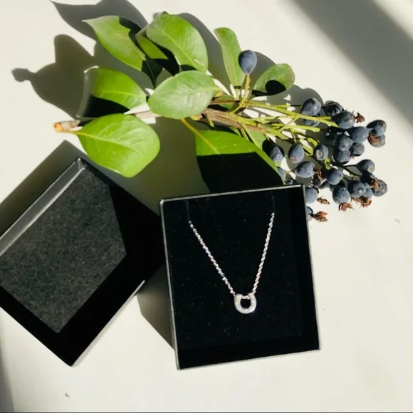 NWT 925 Sterling Silver Dainty Horseshoe Necklace - Picture 2 of 5